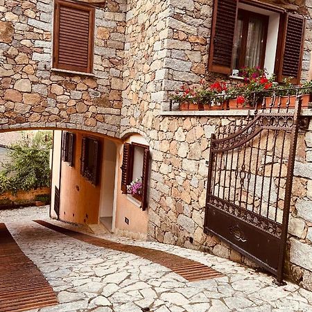 B&B Peonia Orgosolo Buitenkant foto